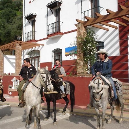 Apartamentos Rurales Mirador De Jubrique Dış mekan fotoğraf