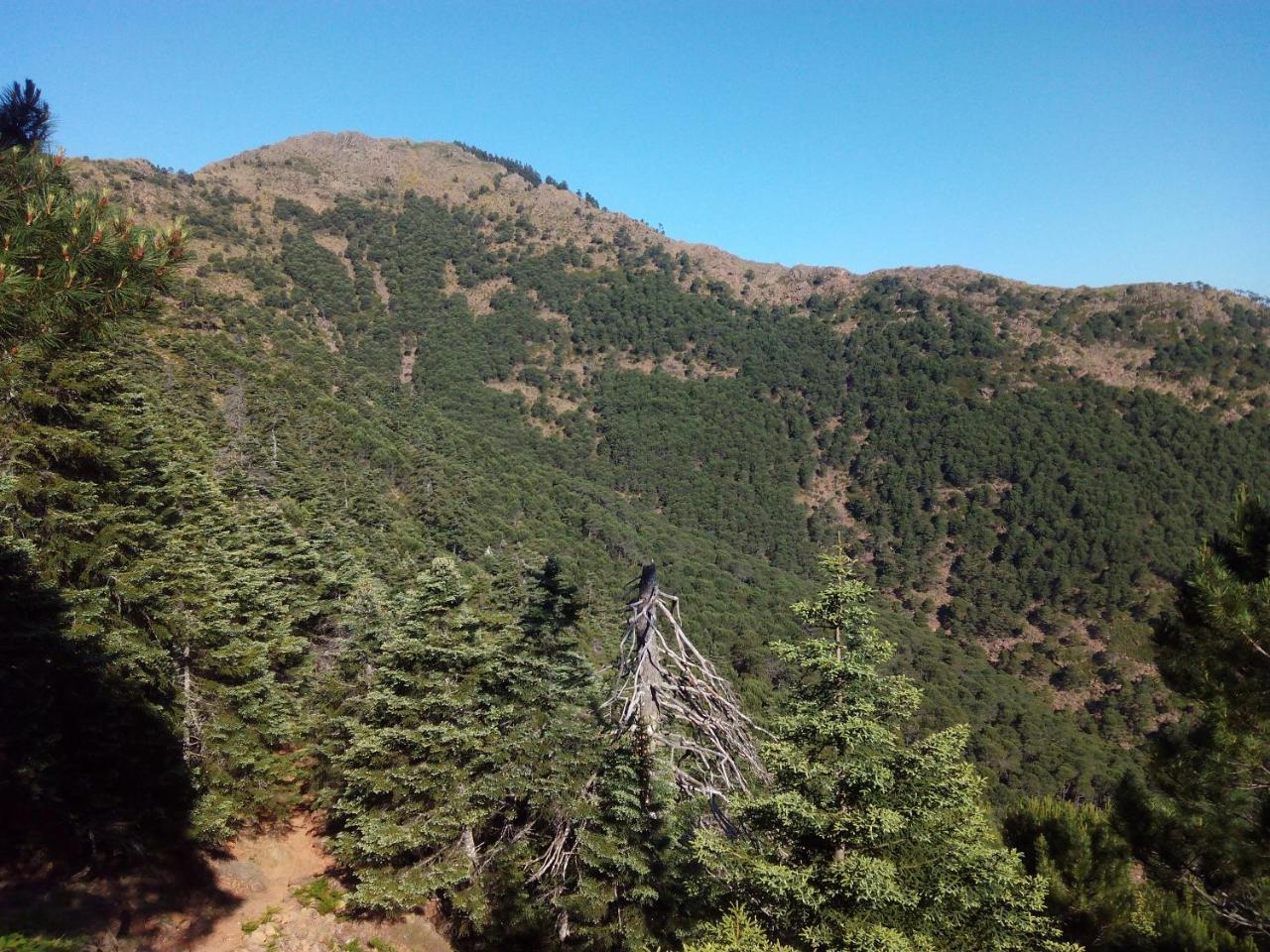 Apartamentos Rurales Mirador De Jubrique Dış mekan fotoğraf