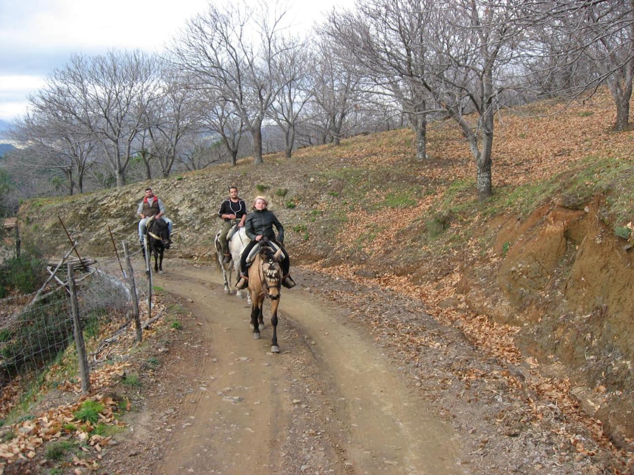 Apartamentos Rurales Mirador De Jubrique Dış mekan fotoğraf