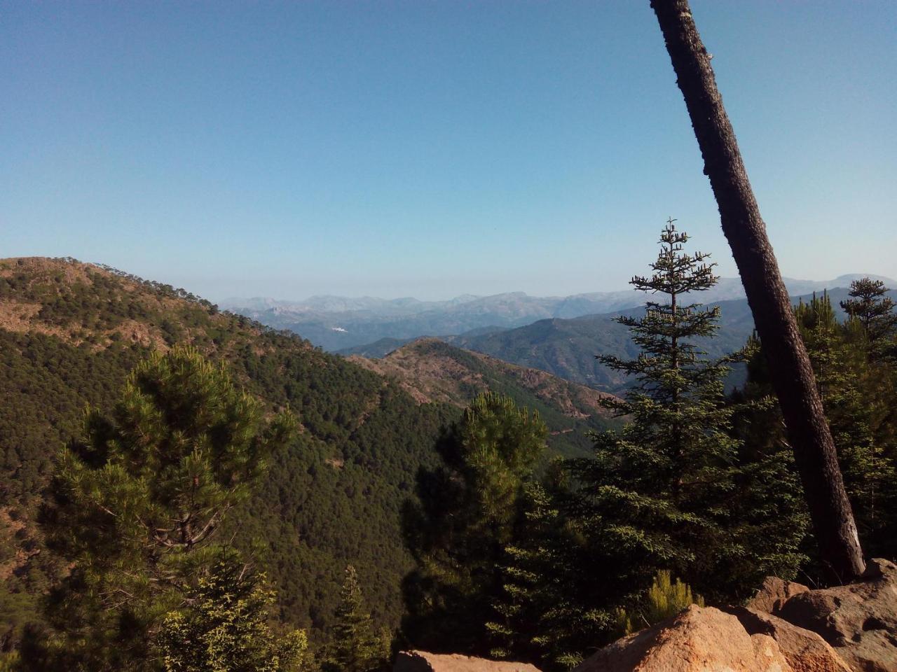 Apartamentos Rurales Mirador De Jubrique Dış mekan fotoğraf