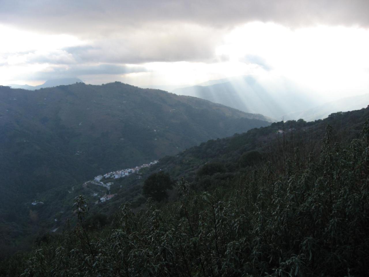 Apartamentos Rurales Mirador De Jubrique Dış mekan fotoğraf