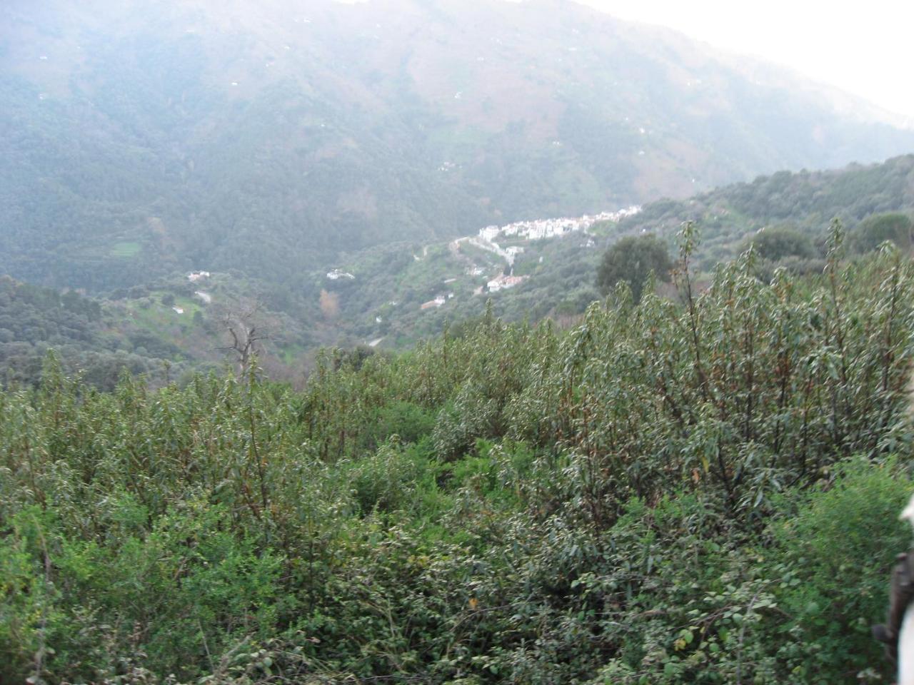 Apartamentos Rurales Mirador De Jubrique Dış mekan fotoğraf